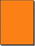 Custom Label 1Up Fluro Orange 100 Pack