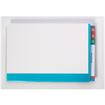 Avery Fullvue Lateral Files FC Blue Spine Pk100