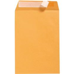 Cumberland Envelopes Strip Seal Pocket DLX Gold 500 Box